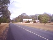 View of Gum Flat