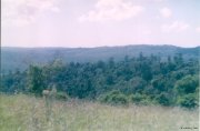 View of mallanganee National Park